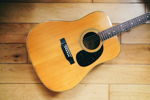 1973 greco 250 - 1973-74, in