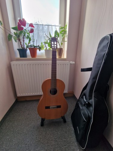 Gittare lamancha - gittare,
