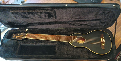 Washburn rover akustische - washburn,