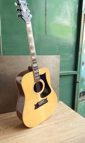 Akustikgitarre selten ibanez - akustikgitarre,
