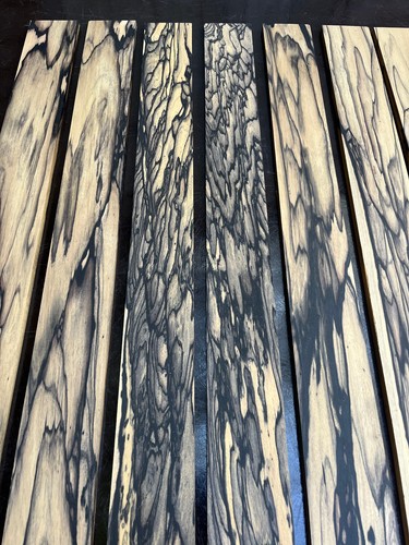 Pale moon ebony saitige - moon, 4-saitige