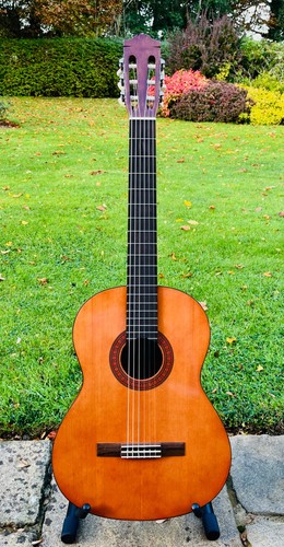 Yamaha konzertgitarre - yamaha,